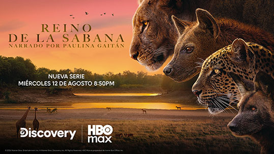 Reino de la sabana en HBO Max con Telmex